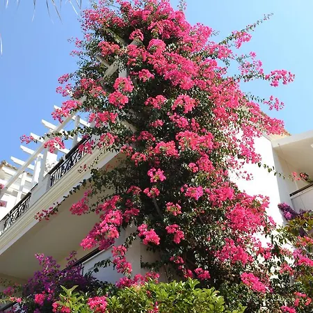 Hotel Delfino Blu Wellness Boutique Agios Stefanos Avliotes (Corfu)