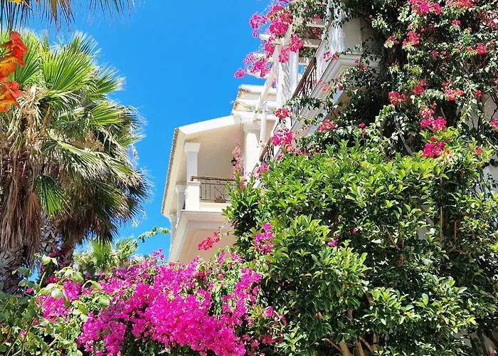 Delfino Blu Wellness Boutique