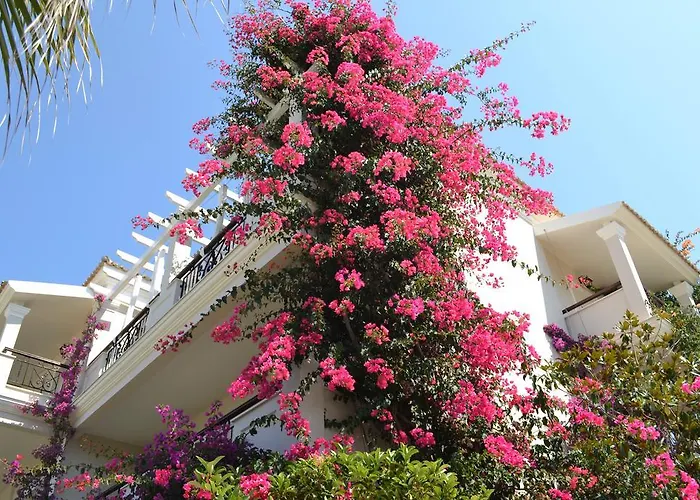 Hotel Delfino Blu Wellness Boutique Agios Stefanos Avliotes (Corfu)