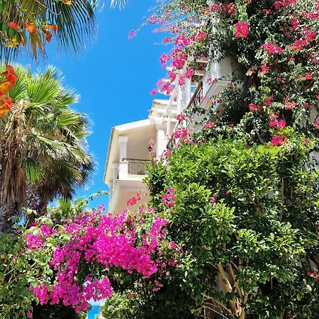 Delfino Blu Wellness Boutique